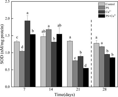 Combined effects of nanoplastics and heavy metal on antioxidant parameters of juvenile tri-spine horseshoe crabs